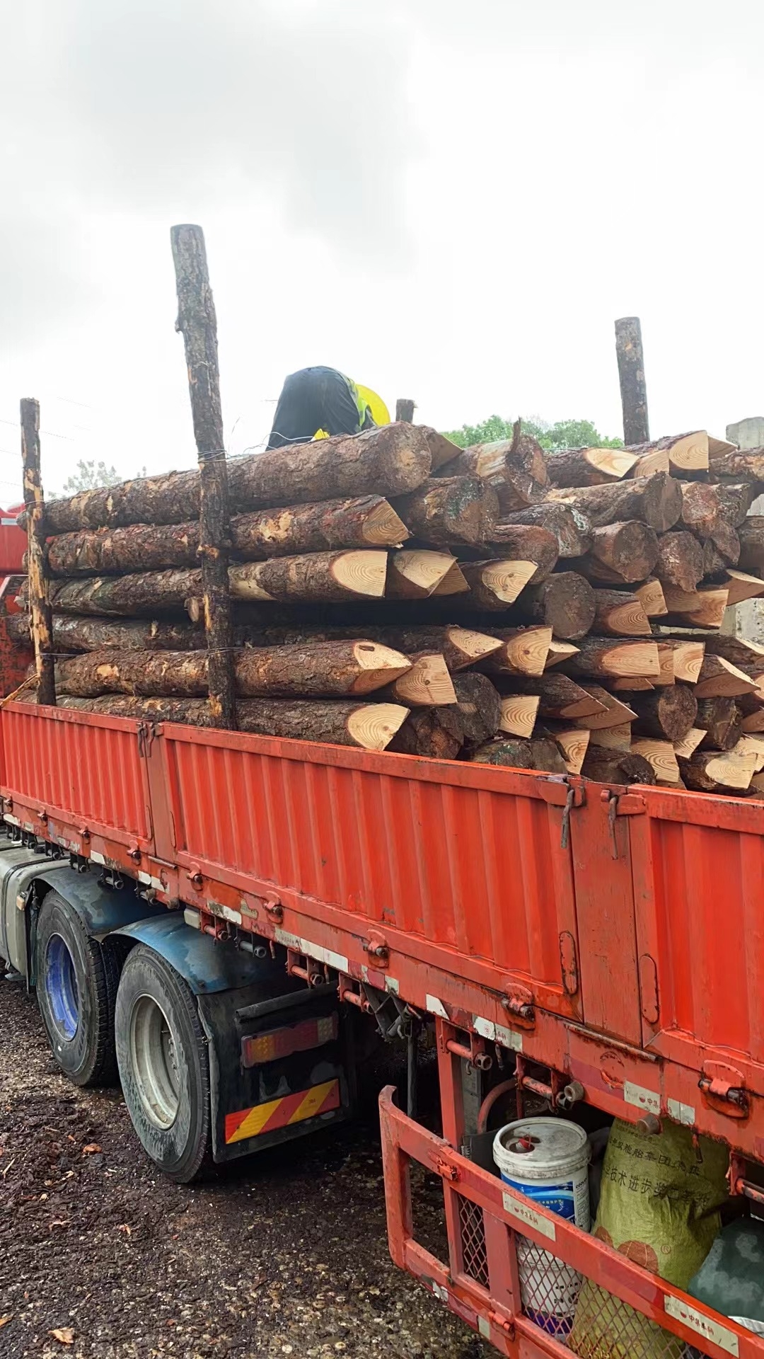 松木樁新手必備！快速掌握規(guī)范和要求