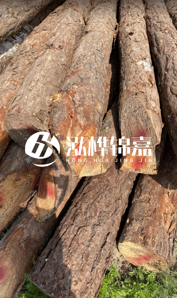 <strong>松木樁和杉木樁的用途區(qū)別？哪個更適合打樁用？</strong>