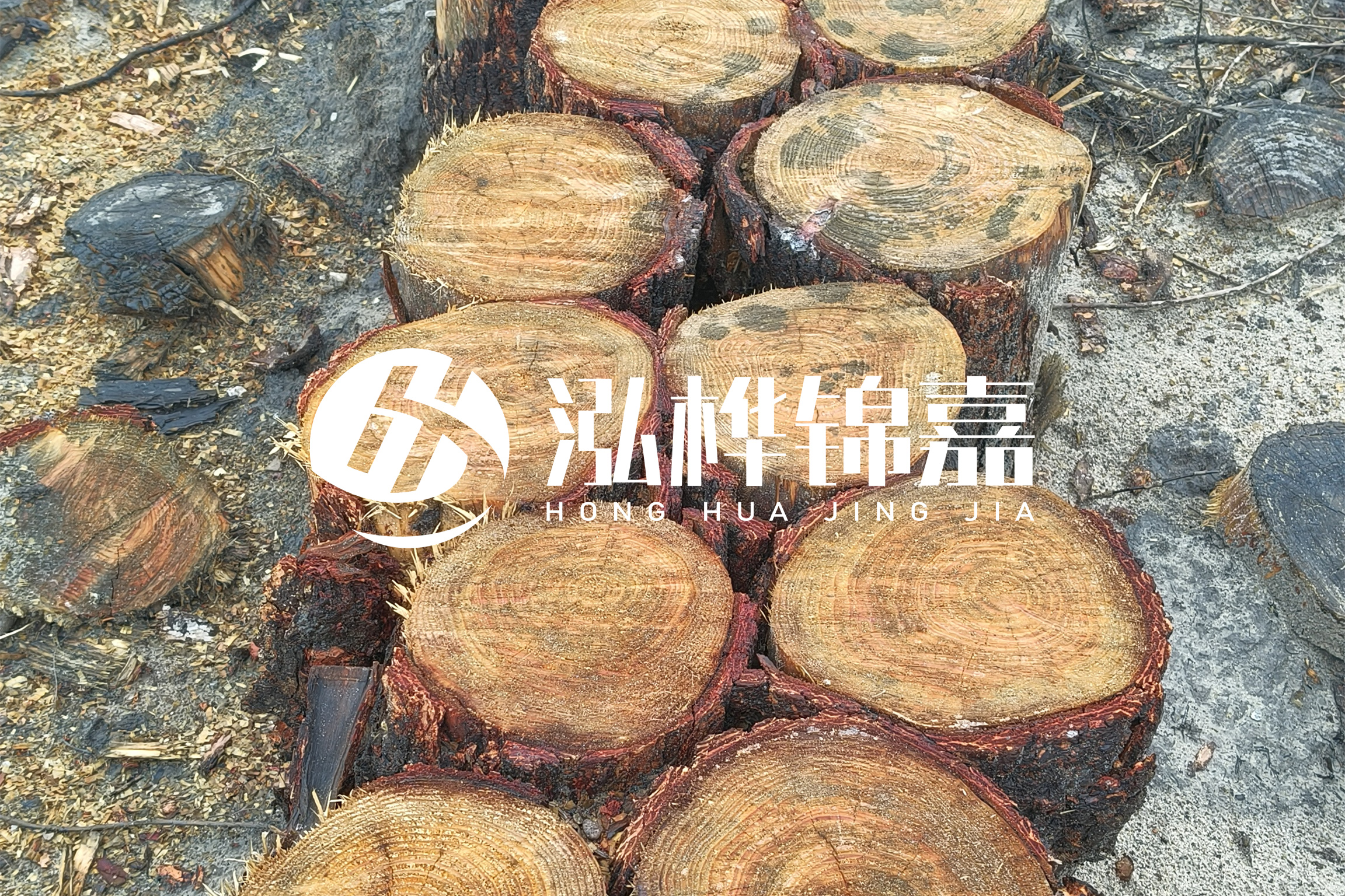 浙江臺州有清淤的公司嗎？浙江臺州有清淤施工隊嗎？