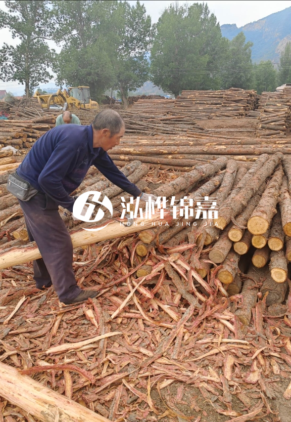 東營(yíng)河道清淤專業(yè)施工隊(duì)-不同型號(hào)挖機(jī)清淤能力對(duì)比？