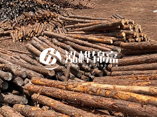 浙江打樁木源頭廠家泓樺錦嘉-松木廠家批發(fā)電話地址？