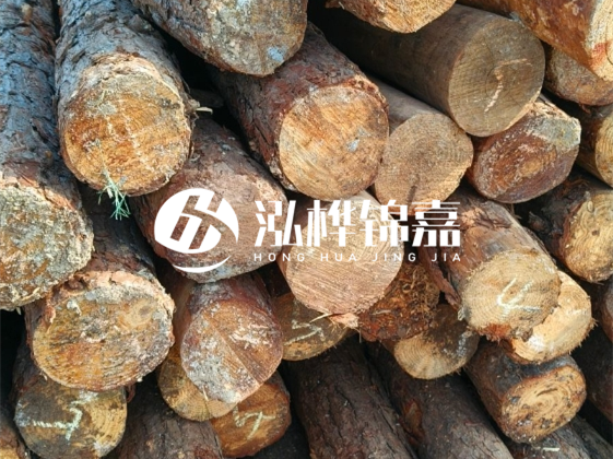 廣東松木樁源頭廠家地址在哪里-泓樺錦嘉屬于什么檔次？