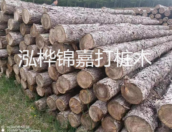 地板打磨翻新價格，讓你的地板煥然一新