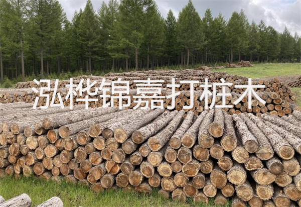 松木樁能施工嗎？探究視頻揭秘真相！