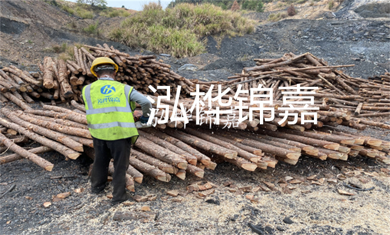 如何處理木床氣味？了解甲醛幕后真相