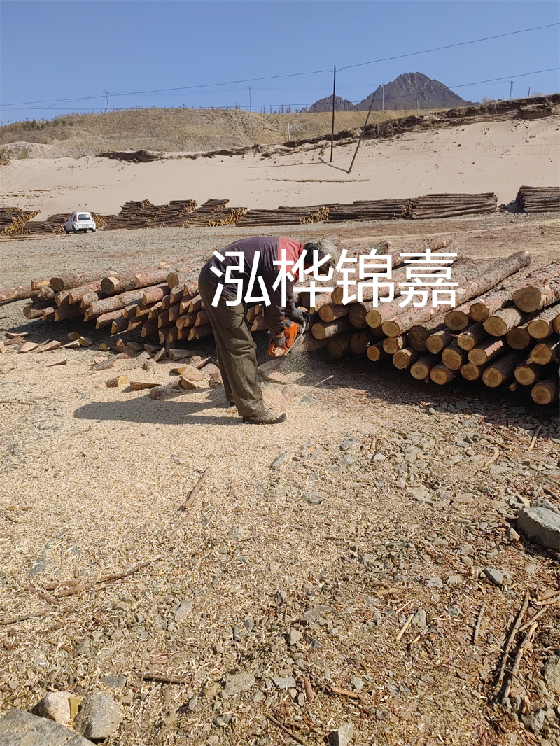 松木樁駁岸施工，打造水上風(fēng)景線(xiàn)